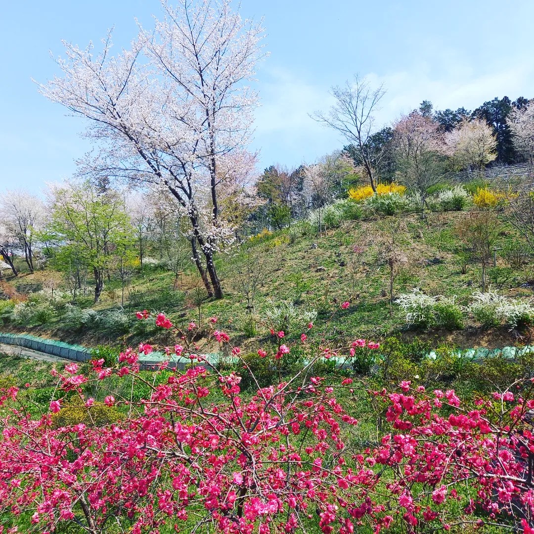 花咲山公園 - 歩楽～里（ぶら～り）よこぜ